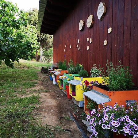 Su Leunaxiu Solèminis Exterior foto