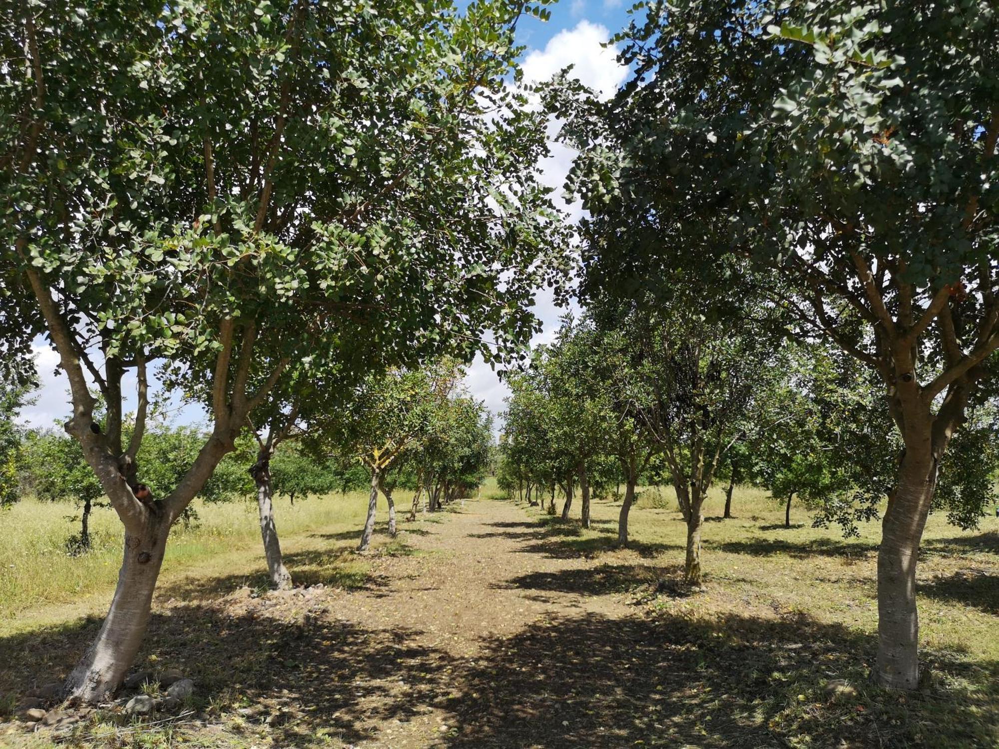Su Leunaxiu Solèminis Exterior foto